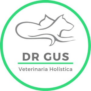 Consulta presencial con el Dr Gus Veterinaria Holística